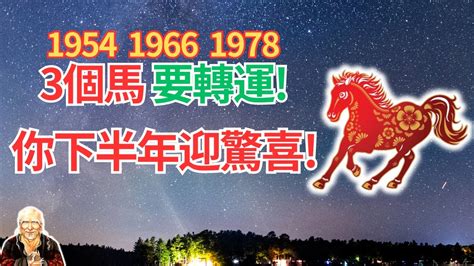 1978生肖馬|1978年出生的屬馬人什麼命格？准到爆！